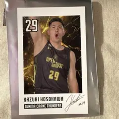 2026年最新】群馬クレインサンダーズ サインの人気アイテム - メルカリ