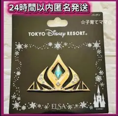 【新品】ディズニーリゾート　アナ雪　エルサ　パッチン　ティアラ　ヘアピン
