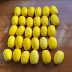 Item thumbnail for item e77ce579-dc81-4867-8cff-008d9da48624