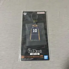 一番くじハイキュー!! スクールアイコンボタン付きアクリルチャーム日向翔陽