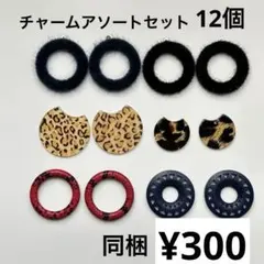 アクセサリー素材 6ペアセット ハンドメイド資材 パーツ