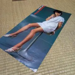 Item thumbnail for item 61da506e-de13-428c-80ae-572d4853dfde