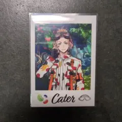 ツイステ　ツイステ展　イベント　コレクション　ランダム　カード　ケイト