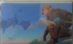 【匿名】ゼルダの伝説　ティアーズオブザキングダム　ウエハース　No.20 リンク