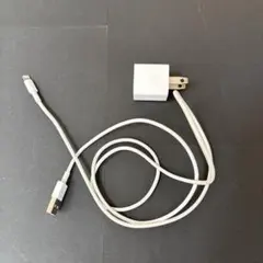 Apple純正　iPhone ライトニングケーブル（USB- A）➕アダプタ
