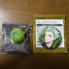 【最終値下げ】ツイステ　セベク　リングライト　缶バッチ　２点セット