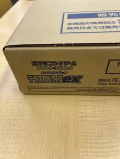 2025年最新】テラスタル カートンの人気アイテム - メルカリ