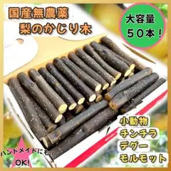 Item thumbnail for item 0cc78ed9-a109-4800-b15d-b3731a2e0e01