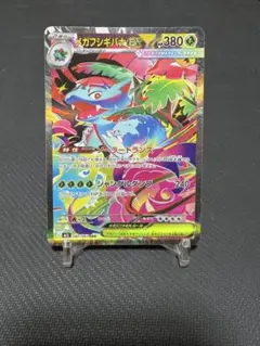 2026年最新】メガフシギバナの人気アイテム - メルカリ