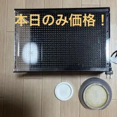 2026年最新】爬虫類飼育セットの人気アイテム - メルカリ