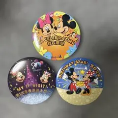 香港ディズニー 缶バッジ　3個セット