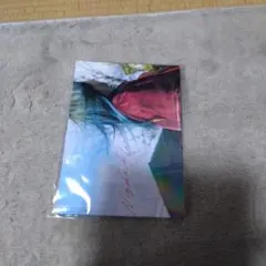 ナイトフラワーパンフレット