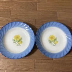 レトロ 皿 2枚セット