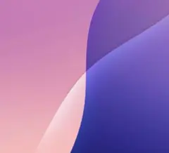 専用