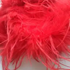 nakanaka様専用★B品　オーストリッチ 赤