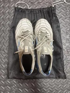 モレリアネオ4β 限定色