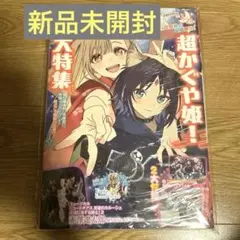 超かぐや姫！特集】コンプティーク 2026年2月号 - メルカリ