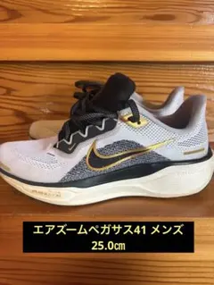 2025年最新】ペガサス41 ナイキの人気アイテム - メルカリ