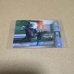 メジロマックイーン　武豊　金色箔押し　サラブレッドホースコレクション