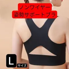 姿勢サポートブラ ブラック Lサイズ フロントホック ノンワイヤー シームレスのサムネイル