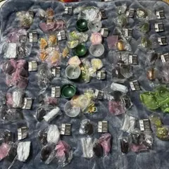 いきもの大図鑑 アドバンス　26個　まとめ売り