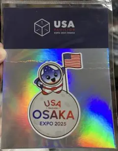 2025年最新】アメリカパビリオンの人気アイテム - メルカリ