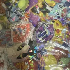 ポケモン　アクリルキーホルダー2個セット　コライドン　ミライドン