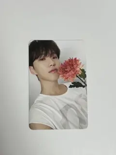 SEVENTEEN 17 is right here DEAR ver ホシ