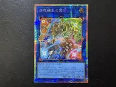 遊戯王 四花繚乱の霊使い BLZD プリシク プリズマティック - メルカリ