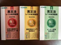 英文法(レベル別問題集1,2,3)3冊セットのサムネイル