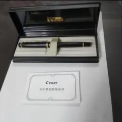 パイロット 万年筆 グランセ 2013年 限定 森 - メルカリ