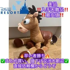 東京ディズニーリゾート　トイストーリー　ブルズアイ　ぬいぐるみ　ピクサー