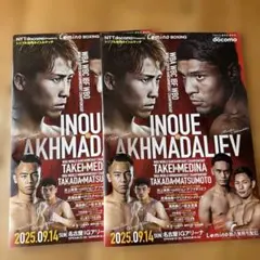 井上尚弥vs アフマダリエフ Mサイズ パンフレット付き 井上尚弥vsアフマダリエフ 入場者限定パンフレット - メルカリ
