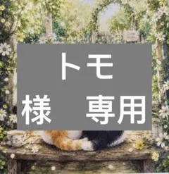 トモ様　専用