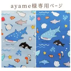 ハンドメイド 入園入学グッズ 男の子 オーダーページ 巾着袋 ランチ