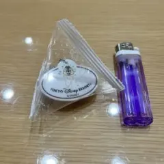 東京ディズニーリゾート キーチェーン　ネームタグ