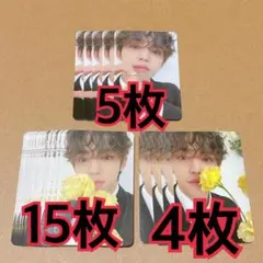 エスクプス　トレカ　19枚　carat盤　FML  seventeen