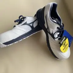 MizunoミズノオールマイティLSII 22L安全靴 グレー 27 - メルカリ