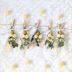 クラスペディアとユーカリのふんわりドライフラワーガーランド –ホワイト×イエロー