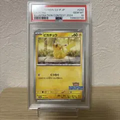 【PSA10】ピカチュウ イラストコンテス2024 プロモ 242/SV-P