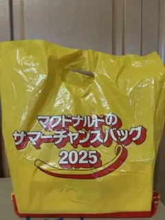 ★新品　マクドナルド サマーバッグ 福袋 2025 グッズ3点