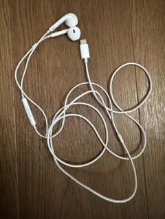 USB-C 有線イヤホン EarPods