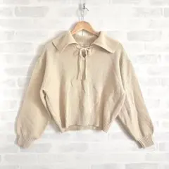 アースミュージックアンドエコロジー　ベージュ　襟付き　ニット