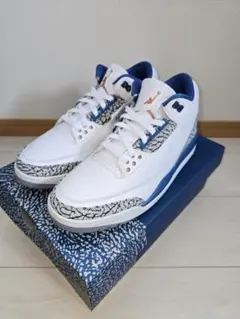 ★ナイキ　Nike Air Jordan 3 Retro