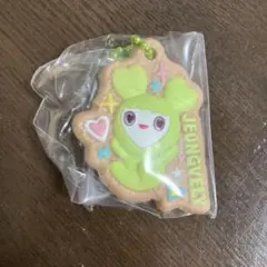 twice ラブリーズ ビスケットチャーム ジョンヨン ジョンブリー