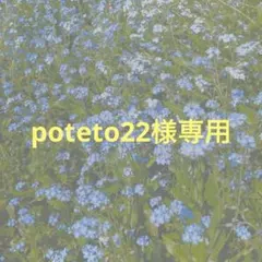 poteto22様専用