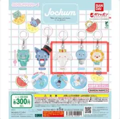 JOCHUM ジェオチャム めじるしアクセサリー