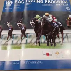 11/22 JRA レーシングプログラム
