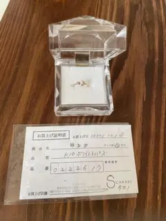ハーキマー・ダイヤモンド （両錐水晶) 標本 東京サイエンス ケース
