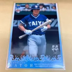 シー &ジェームス(飼っていた犬の名前)様 リクエスト 2点 まとめ商品